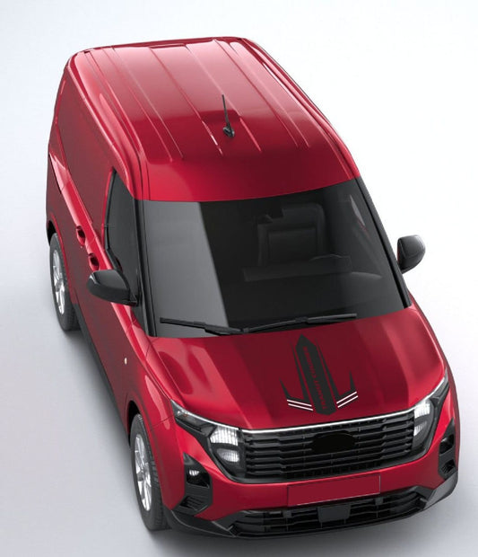 Glossy black stripe on silver Transit Courier