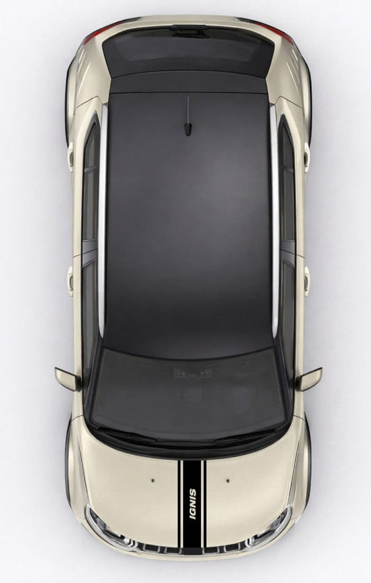 Top-down view of a car with a black roof and white body on a white background