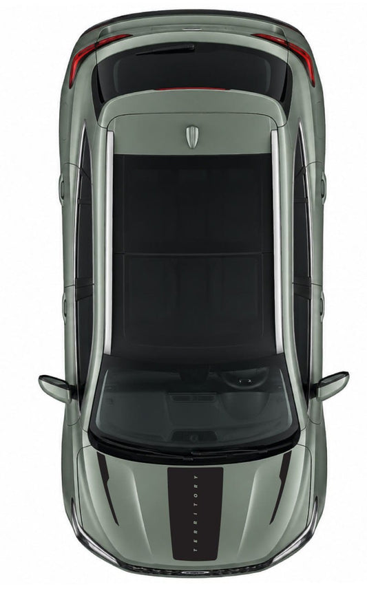 Top-down view of a sleek, modern car with a metallic gray exterior and black roof, windshield, and hood details, isolated on a white background.