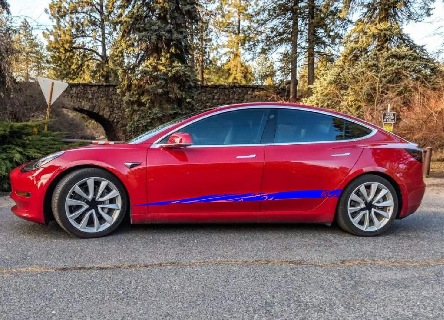 Premium Stickers Compatible with Tesla 3 | Tesla X Stickers | Tesla Y Stickers Tesla S